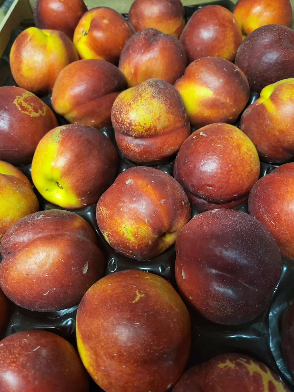 Nectarine jaune 1 kg Sarl Les Legumes De Buyon Locavor.fr