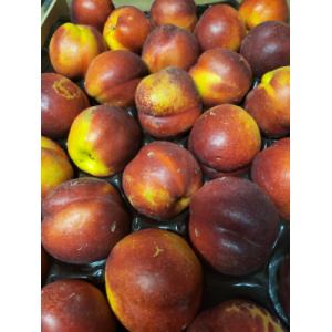 Nectarine jaune