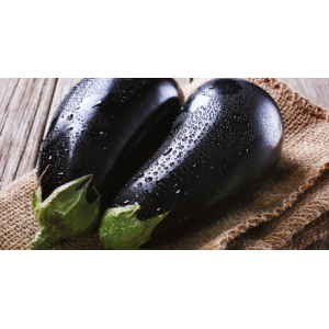 Aubergine bio