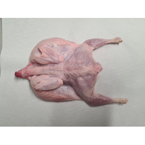 Cailles en crapaudine