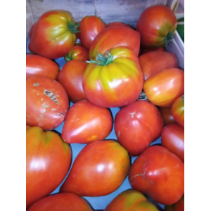 Tomate coeur de boeuf