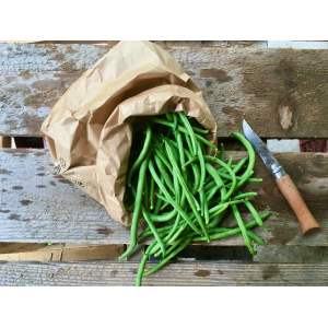 Haricots verts
