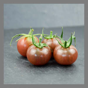 Tomate cerise black cherry