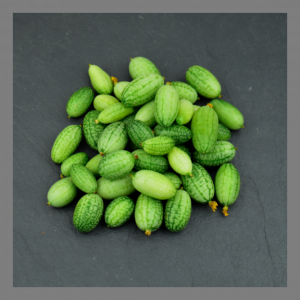 Mini-concombre solana