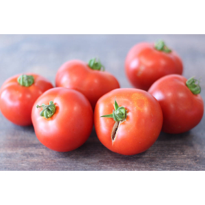Tomate ronde bio