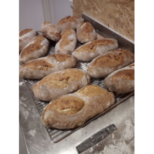 Pain campagnard au levain