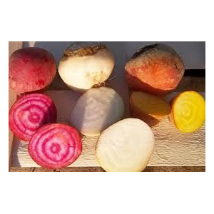 Betterave de couleur