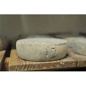 Tomme de vache