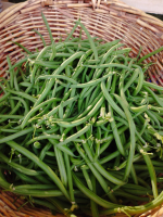 Haricots verts fins