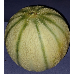 Melon bio