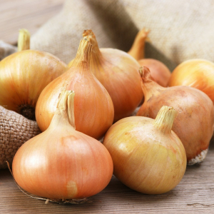 Oignon jaune (petit calibre)