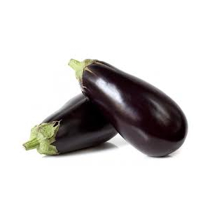 Aubergine bio