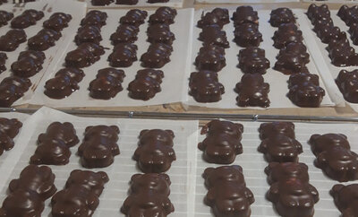 Oursons guimauve enrobés de chocolat noir