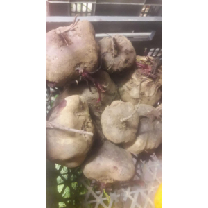 Betterave rouge crue