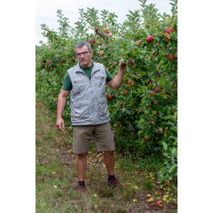 Pommes variété fonction du dispo