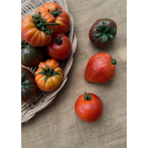 Tomate - moyenne en mélange