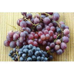 Raisin en mélange