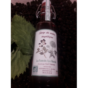 Sirop de cassis reine des prés