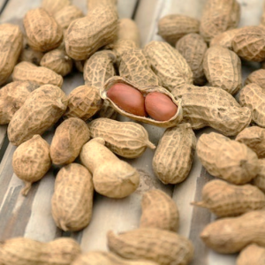 Arachides grillées non salées bio