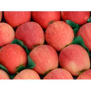 Pomme  gala en plateau 4,5 kg