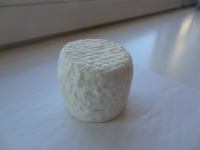 Le crottin de chèvre frais