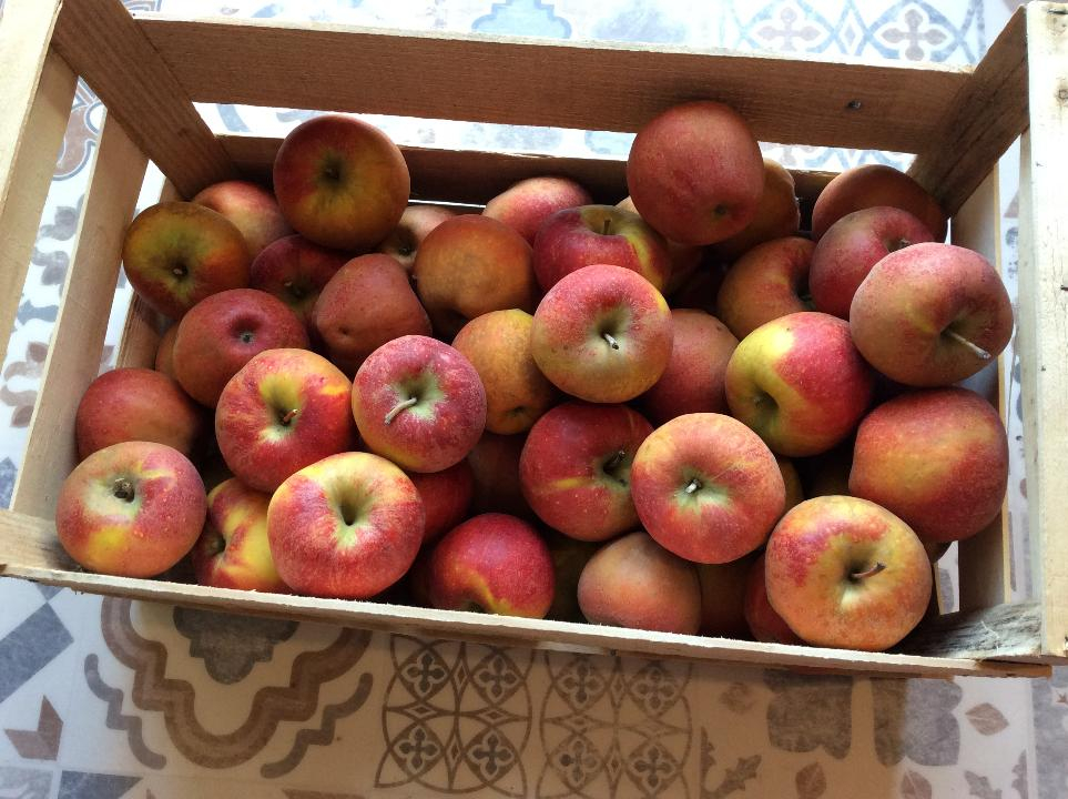 Pommes bio - 2 kg - Anne-marie Rousset, Le Verger Du Favier 