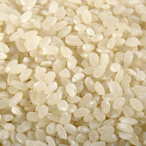 Riz rond igp camargue