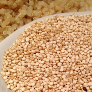 Quinoa d'anjou