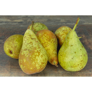 Poire conférence bio