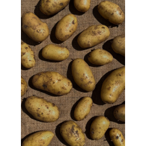 La joconde des pommes de terre - grenailles