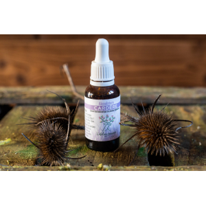 Alcoolature cardère