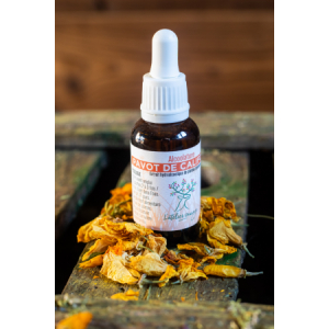 Alcoolature pavot de californie