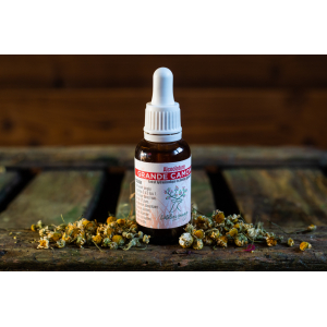 Alcoolature grande camomille