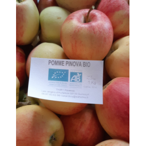 Pomme pinova bio1kg