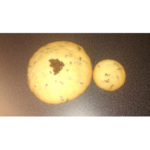 Cookies aux pépites de chocolat