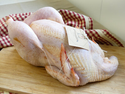 Poulet entier bio 2.5kg à 2.8kg