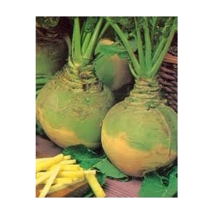 Rutabaga