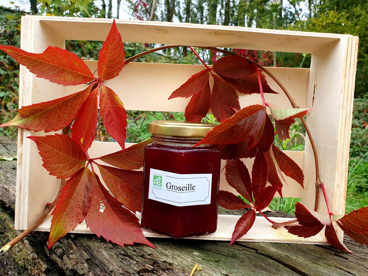 Confiture de groseille bio 1 u Brin De Terre Locavor.fr