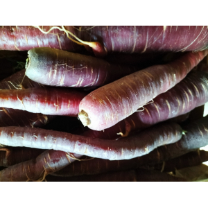 Carottes violettes