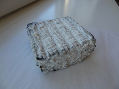 Le pavé cendré de chèvre entre-deux