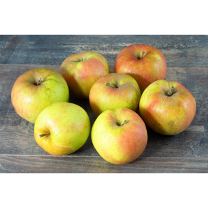 Pomme belle de boskoop