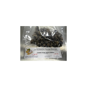 Chairs d'escargots court- bouillonnées