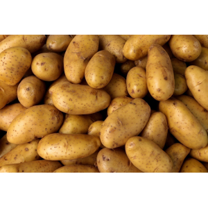 Pomme de terre ferme - ditta