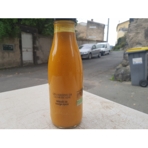 Velouté de butternut épicé