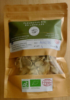 Pleurotes déshydratés bio