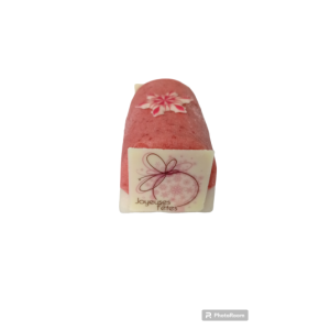 2 bûchettes sorbet cerise-agastathe