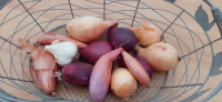 Mélange bio oignons échalotes ail