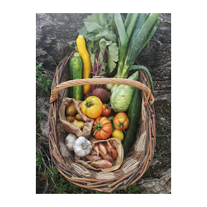 Panier de légumes 26