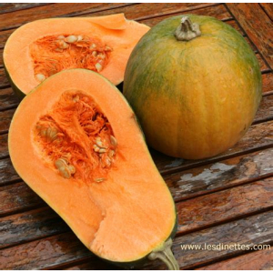 Courge sucrine du berry