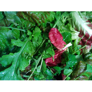 Mesclun de saison bio
